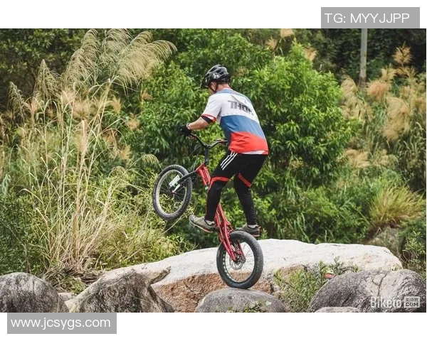 重庆极限运动队荣登全国意识排行榜第三名引发热议